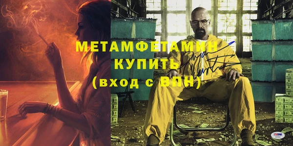 ПСИЛОЦИБИНОВЫЕ ГРИБЫ Богданович