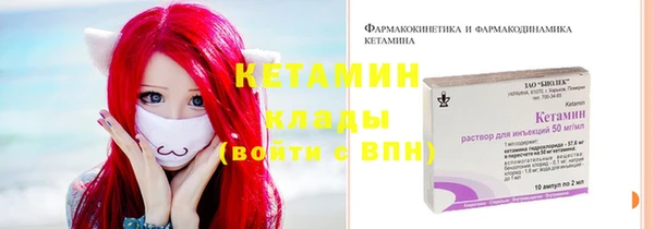 ПСИЛОЦИБИНОВЫЕ ГРИБЫ Богданович