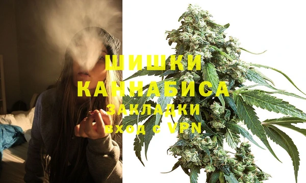 ПСИЛОЦИБИНОВЫЕ ГРИБЫ Богданович