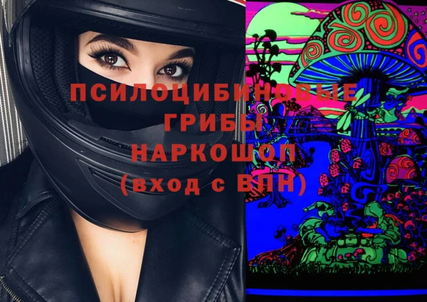эйфоретик Богородицк