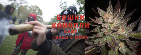 ГАЛЛЮЦИНОГЕННЫЕ ГРИБЫ Богородск