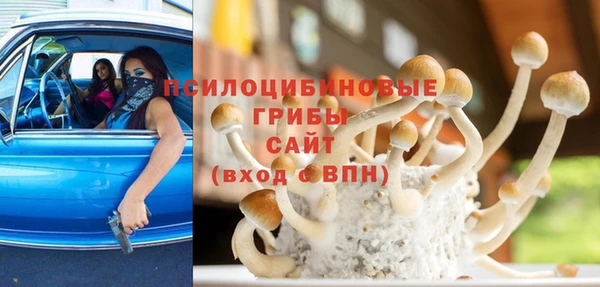 эйфоретик Богородицк