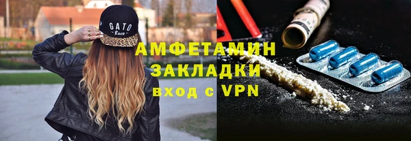 ПСИЛОЦИБИНОВЫЕ ГРИБЫ Богданович