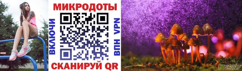 Псилоцибиновые грибы MAGIC MUSHROOMS  Купить закладки  Гдов 