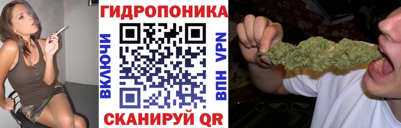 Бошки Шишки VHQ Гдов