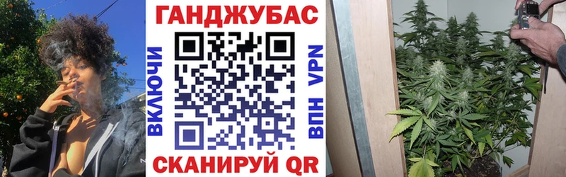 Купить Гдов Шишки марихуана план